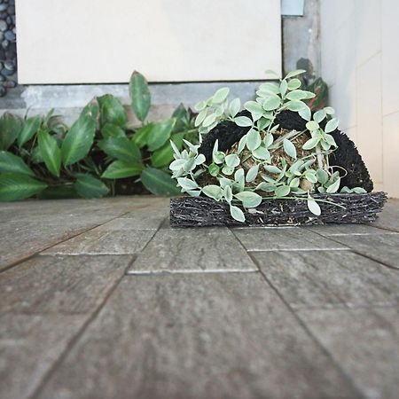 梭罗别墅度假村 乌布 客房 照片